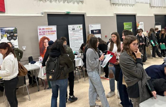 GARD El proyecto de orientación juvenil, una prioridad para Face Gard