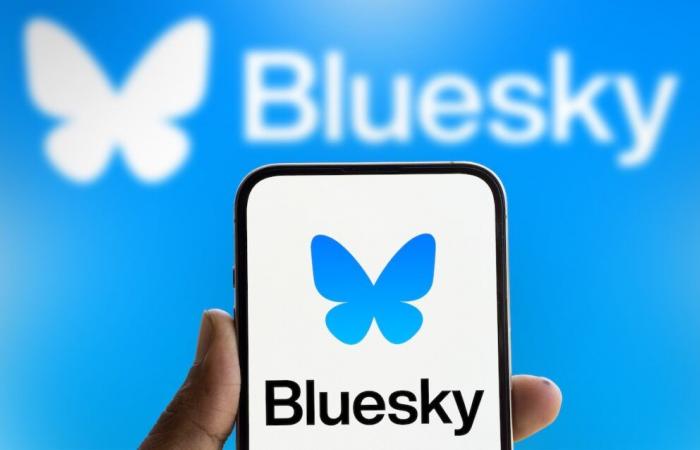 Bluesky, la mariposa que debe reconectar a OL con su comunidad