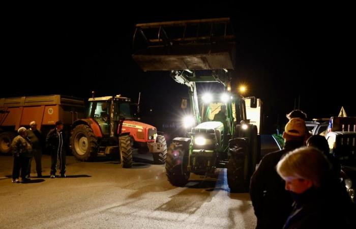 300 toneladas de estiércol en Angulema, gran bloqueo en Ruffec: los agricultores dan un paso adelante (vídeos)