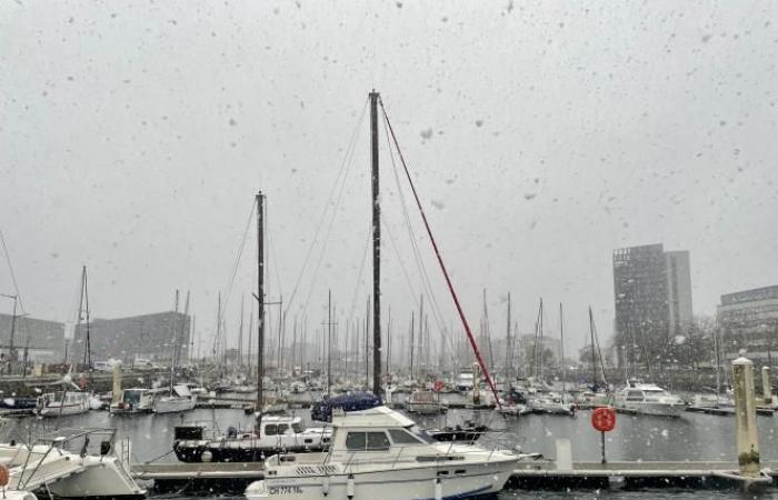 Informe meteorológico. Alerta naranja en Sena Marítimo: finalmente llega la nieve a Le Havre