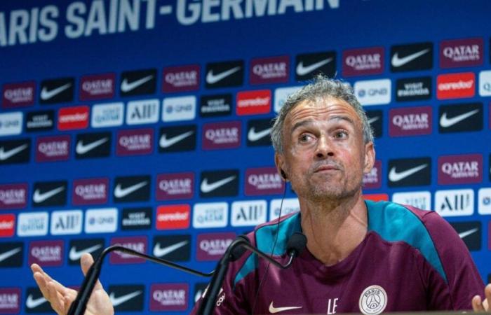 Luis Enrique comenta sobre el ambicioso proyecto del Paris FC