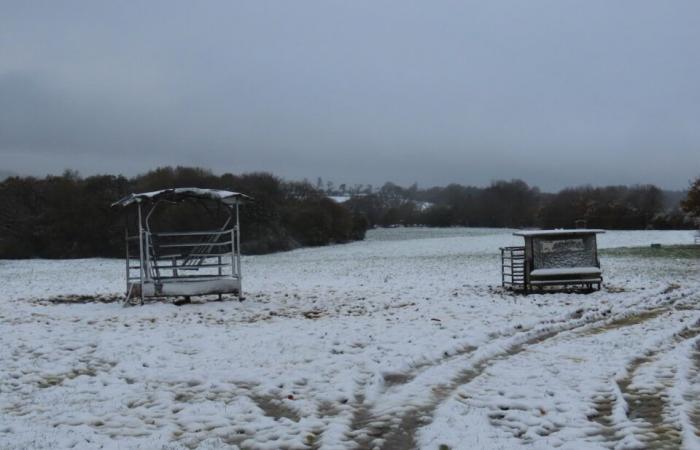 EN FOTOS. En Côtes-d’Armor, varios centímetros de nieve cubrieron el campo