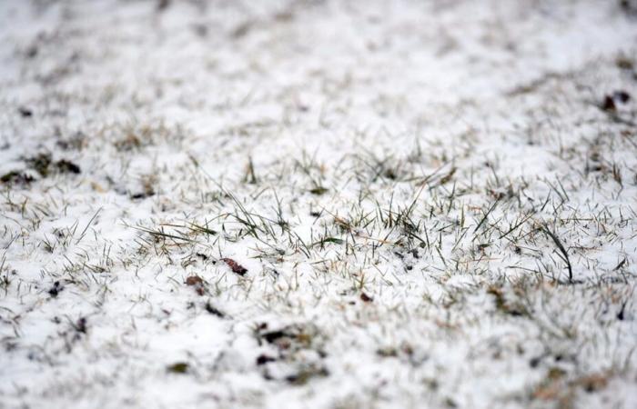 Los últimos pronósticos de tormentas muestran que Syracuse podría recibir su primera nevada de la temporada