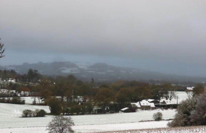 EN FOTOS. En Côtes-d’Armor, varios centímetros de nieve cubrieron el campo