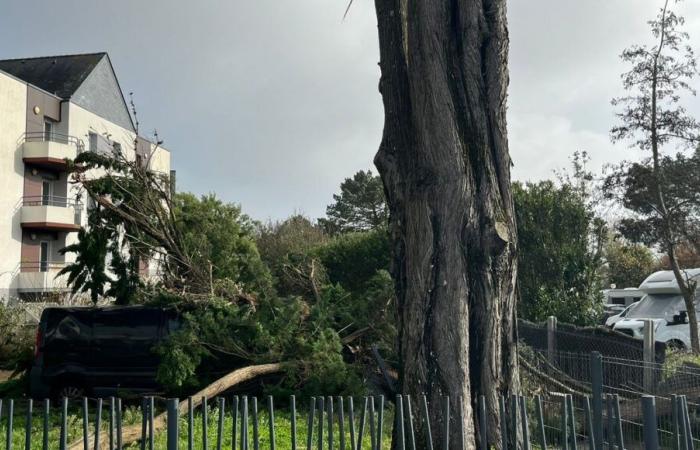 Tormenta Caetano: se registraron ráfagas de más de 100 km/h en Loira Atlántico y Vendée