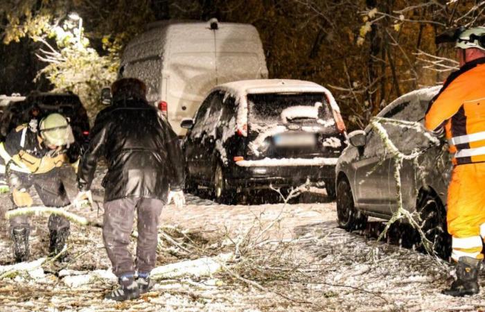 “Peligro para la vida y la integridad física” – El Servicio Meteorológico Alemán advierte sobre tormentas de nieve