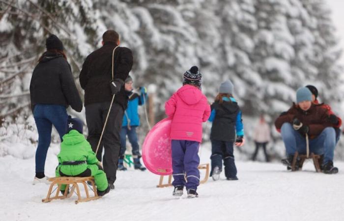 Nieve en Harz: pero la asociación de turismo desaconseja el trineo | Noticias