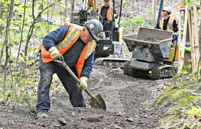 El desmantelamiento de los senderos para bicicletas de montaña de Marmota costó casi 120.000 dólares