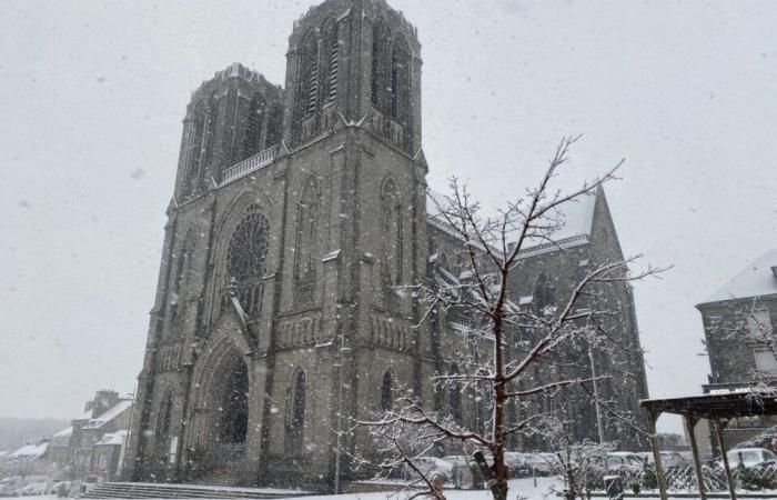 EN FOTOS. La tierra de Flers se despierta bajo la nieve: una decoración navideña