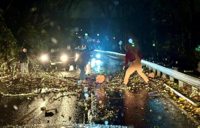 Ciclón bomba: ¿Qué tan fuertes fueron las velocidades del viento en Portland, Oregon?