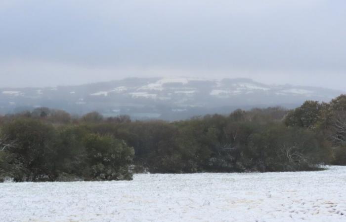 EN FOTOS. En Côtes-d’Armor, varios centímetros de nieve cubrieron el campo