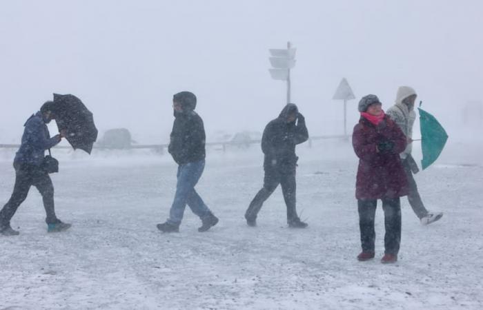 Nieve en Harz: pero la asociación de turismo desaconseja el trineo | Noticias