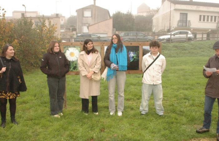 Églantine Godrie gana el premio de fotografía para estudiantes de secundaria