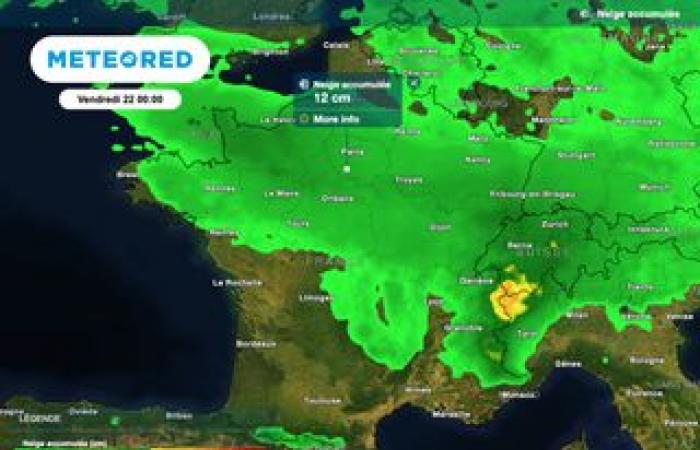 Una colonia de hormigas eléctricas descubierta en Var: ¿deberíamos preocuparnos?