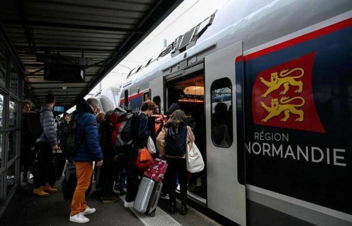 ¿Se podrían prohibir las huelgas de transporte durante las vacaciones en Francia? – Edición nocturna Oeste-Francia