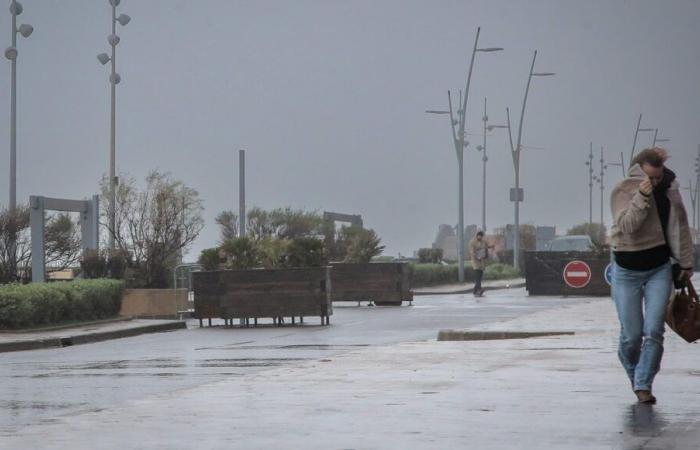 Tormenta Caetano en Loira Atlántico: un árbol cae sobre un coche y una persona resulta gravemente herida