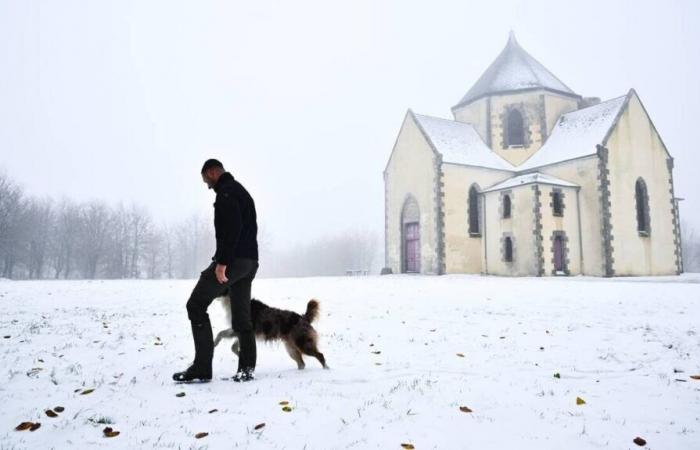 EN FOTOS. Descubra nuestras 10 fotos de Côtes-d’Armor bajo la nieve este jueves por la mañana