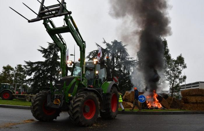 Ira de los agricultores. Movilización cerca de Toulouse, el viernes: esto es lo que apuntan