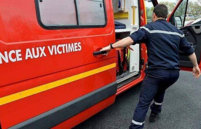 Tormenta Caetano. Un automovilista gravemente herido por la caída de un árbol al norte de Nantes