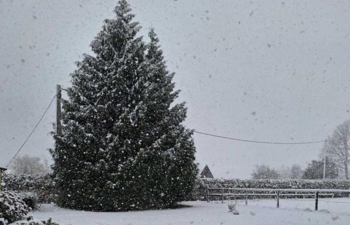 tus fotos más bellas en la región de Pont-Audemer