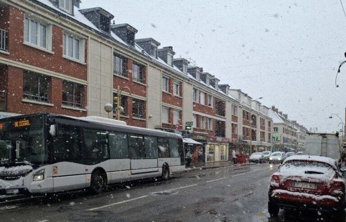 25 cm en algunos lugares, el transporte escolar se detuvo…