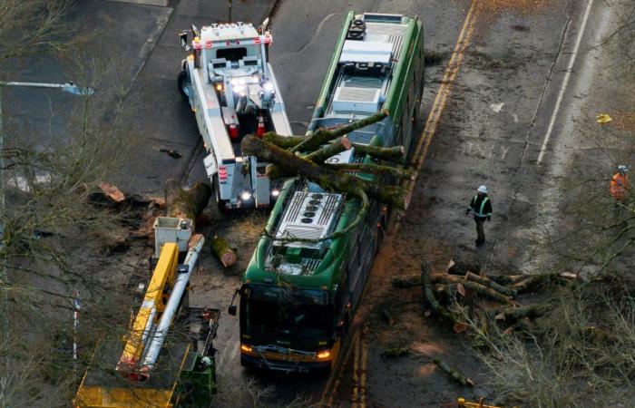 Ciclón bomba mata a dos personas y deja sin electricidad en Washington y Seattle mientras llega una nueva amenaza a la costa oeste