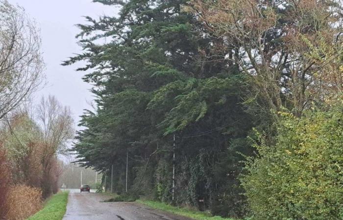 Los resultados de la tormenta Caetano al mediodía en Vendée