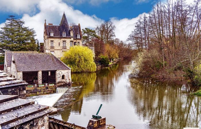 Festival de las Luces 2024: un desfile luminoso y encantador en Moret-sur-Loing (77)