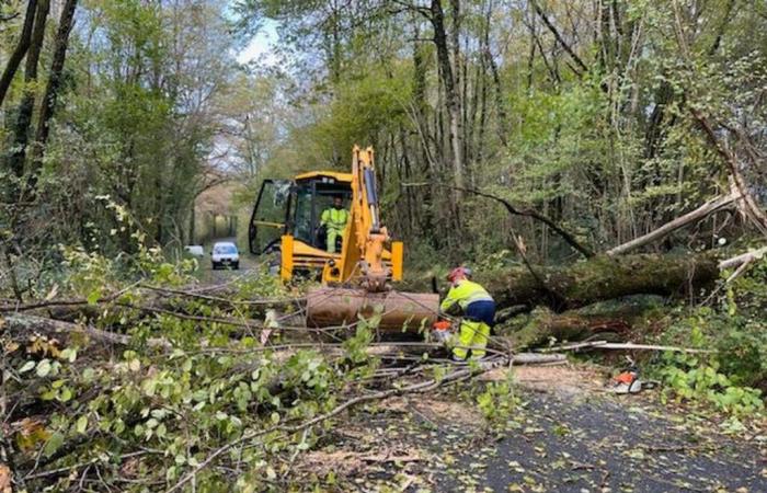 Árboles en la carretera en limusina de Charente, 4.160 viviendas privadas de electricidad, la tormenta Caetano no perdona a Charente