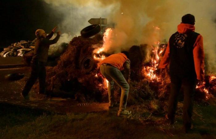 ANÁLISIS. Ira de los agricultores: “Desde París, nos hemos convertido en expertos en la materia”, la Coordinación Rural de Lot-et-Garonne ha cambiado de estrategia para demostrar