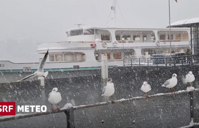 Nieve hasta las tierras bajas – Suiza en invierno – Meteo