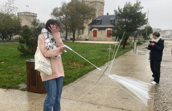 Tormenta Caetano: 130 km/h en Charente Marítimo y miles de hogares privados de electricidad en los dos Charentes