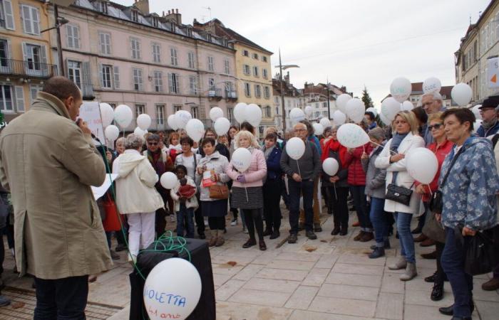 Lucha contra la violencia contra las mujeres: ¿qué programa en Lons-le-Saunier?