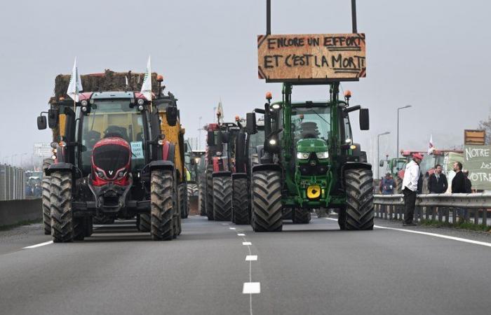 La ira de los agricultores: manifestaciones, filtraciones… Lo que los agricultores planean en el oeste de Toulouse