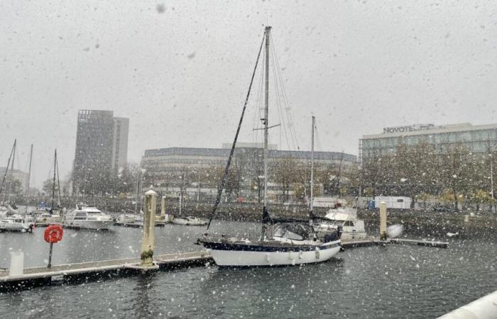 Informe meteorológico. Alerta naranja en Sena Marítimo: finalmente llega la nieve a Le Havre