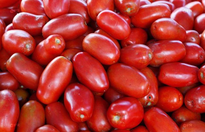 Vendedores de tomates bajo vigilancia reforzada por la prefectura de Mayotte