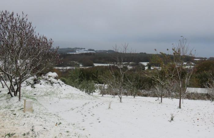 EN FOTOS. En Côtes-d’Armor, varios centímetros de nieve cubrieron el campo