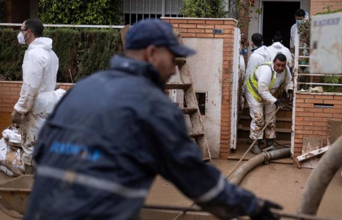 En Valencia, los marroquíes trabajan hasta 14 horas al día para devolver la ciudad a su estado original