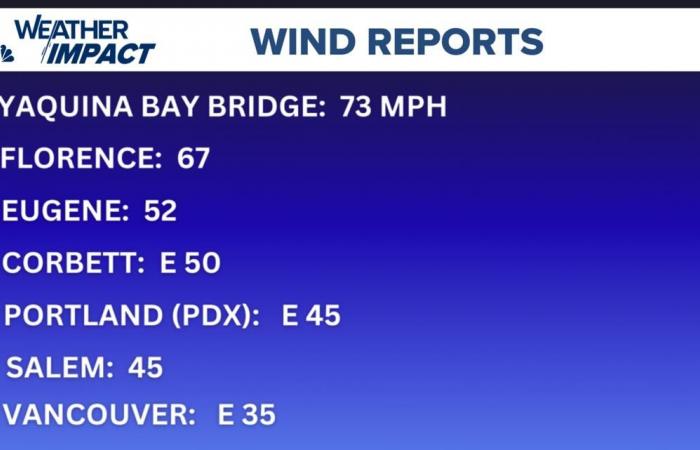 Ciclón bomba: ¿Qué tan fuertes fueron las velocidades del viento en Portland, Oregon?