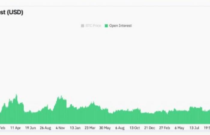 El cohete de Bitcoin (BTC/USD) alcanza cerca de $100,000, ¿más por venir?