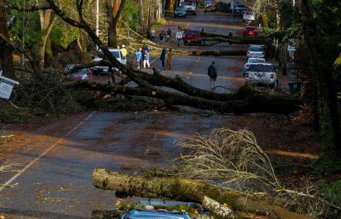 Ciclón bomba mata a dos personas y deja sin electricidad en Washington y Seattle mientras llega una nueva amenaza a la costa oeste