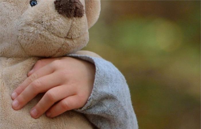 Desde Lot-et-Garonne, vendía en Internet peligrosos peluches para niños