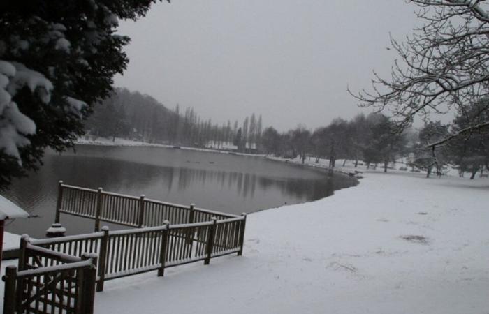 EN FOTOS. La tierra de Flers se despierta bajo la nieve: una decoración navideña