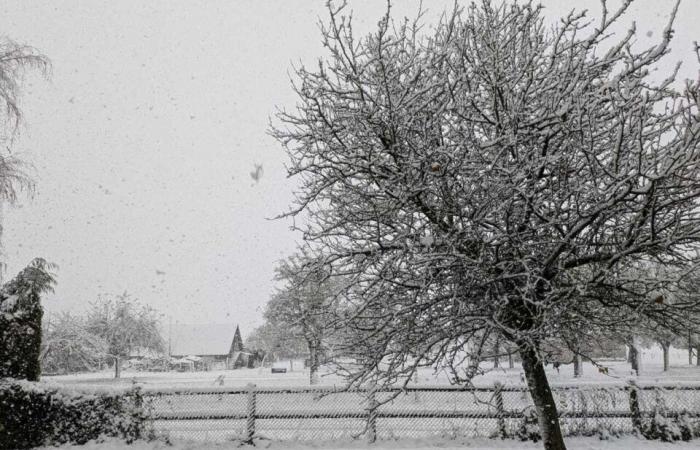 tus fotos más bellas en la región de Pont-Audemer