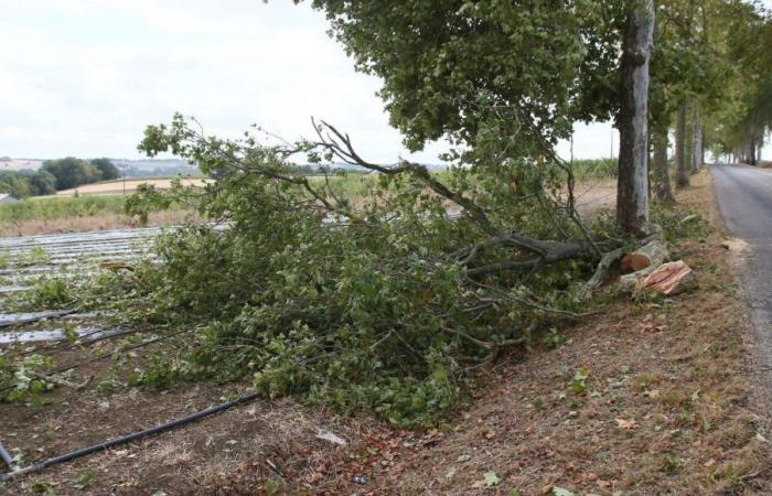 Mal tiempo: 14.000 hogares privados de electricidad en Lemosín, carreteras cortadas y trenes cancelados este jueves