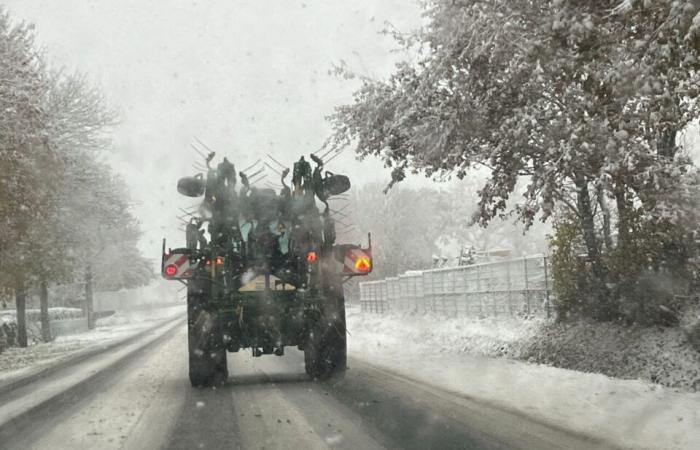 EN FOTOS. La tierra de Flers se despierta bajo la nieve: una decoración navideña