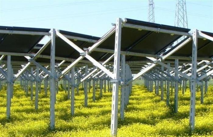 puesta en marcha del proyecto agrivoltaico