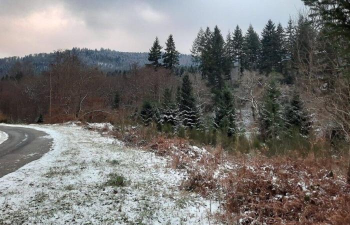 Tormenta Caetano: la Creuse se despierta bajo una fina capa de nieve este viernes por la mañana