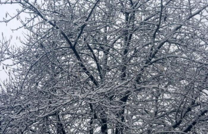 Tormenta en vivo Caetano. 270.000 viviendas sin luz, 38 departamentos en alerta naranja: la mayor parte del día