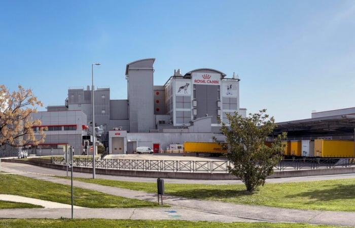 Plan EXCLUSIVO de Protección del Empleo (PSE) en Royal Canin en Aimargues